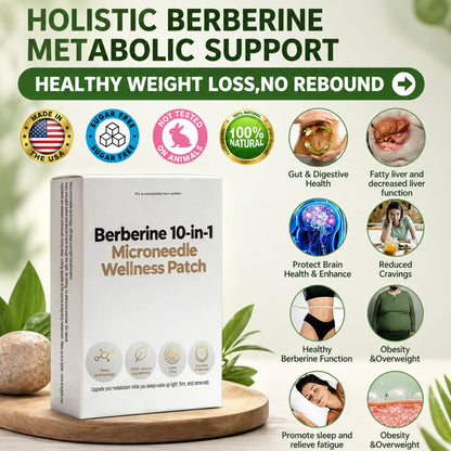 Blenzly Nano Wellness Patches